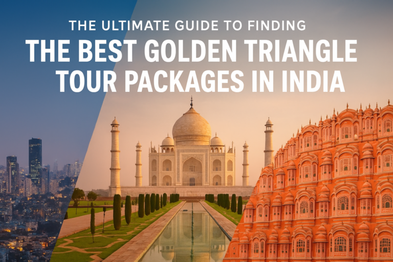 Best Tours in India for First-Time American Travelers (2026 Guide)